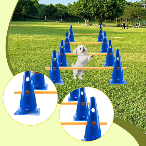 Dog Agility Hurdle Cone Set for Training with PVC cones and poles in a park, small dog jumping over hurdle.