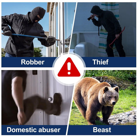 Collage of images including a robber with crowbar, a thief at window, a domestic abuser kicking door, and a bear labeled 'beast.'