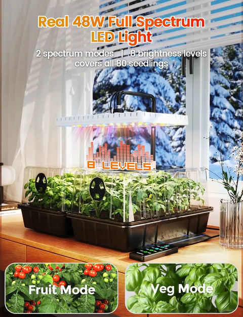 Indoor setup of Full Spectrum LED Grow Light Seed Starter Kit with 80 cell tray, heating mat and adjustable dome.