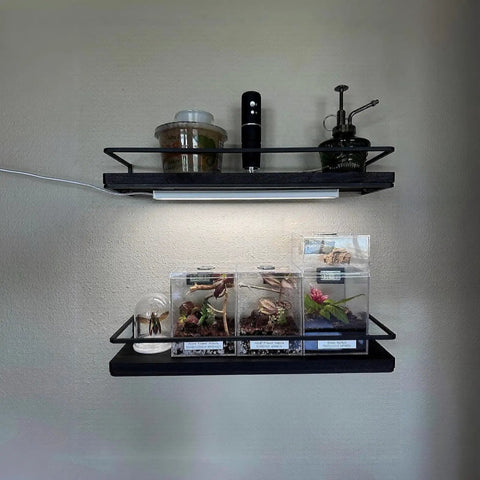Under Cabinet LED Lighting 12 Inch Light Strip Bar Daylight White 5000K Dimmable USB Plug In Light for Kitchen Shelf Desk Display Case Thin Low Profile