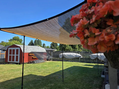 Mocha 90 Percent Outdoor Sun Shade For Patio 6 X 8 Ft Pergola Canopy With Grommets installed in a garden, HDPE shade cloth