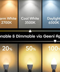 WiFi Smart E12 B11 Candle Bulb 40W Equivalent Multicolor Dimmable Tunable White LED With Schedules Timers And Voice Assistant Compatibility lighting modes