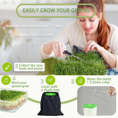 Woman harvesting greens using 4 Tier Seed Sprouting Kit With Drain Holes And Tray Stackable Microgreens Germination System For Beans And Alfalfa Seeds Soil Free Ripple Design Sprouter Tray For Easy Homegrown Organic Sprouts