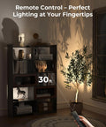 Indoor Spotlight Kit With Daily Auto Timer, 5500mAh Rechargeable Picture Lights, Wireless Dimmable LED Uplighting for bookshelf display