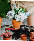 Person using Lightweight Garden Hand Hoe Weeding Tool With Non Slip Handle For Easy Weeding Cultivation And Grass Cutting on potted plants.