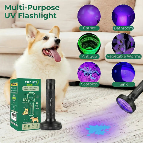 Powerful 100 LED UV Black Light Flashlight 395nm for pet urine detection with dog and detection examples on carpet and surfaces