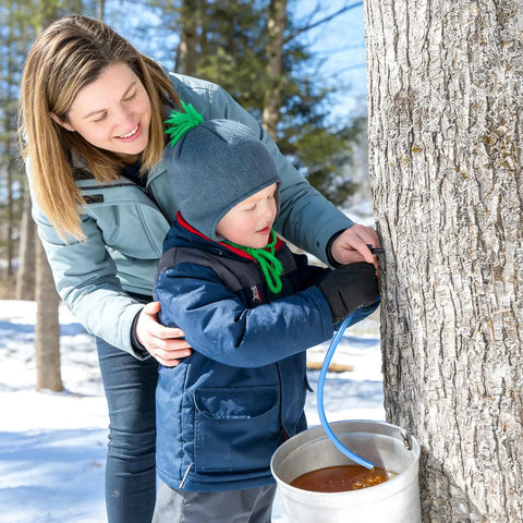 Child collects maple sap using Easy Flow 33 Feet Maple Syrup Tubing Set, 5 16 Inch Vacuum Silicone Sap Line for Maple Trees.