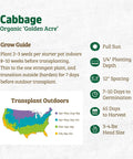 Organic Cabbage Seeds Pack, Heirloom Golden Acre Variety, 100 Percent Organic And Non GMO, Pollinator Friendly Grow Guide