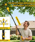 Cordless Electric Pruning Shears For DeWalt 20V Max Systems, adjustable telescoping pole reaching high branches.