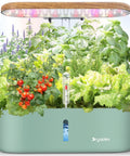 Indoor Hydroponic Garden System With 12 Pods And LED Grow Light displaying herbs and veggies in a compact green container.