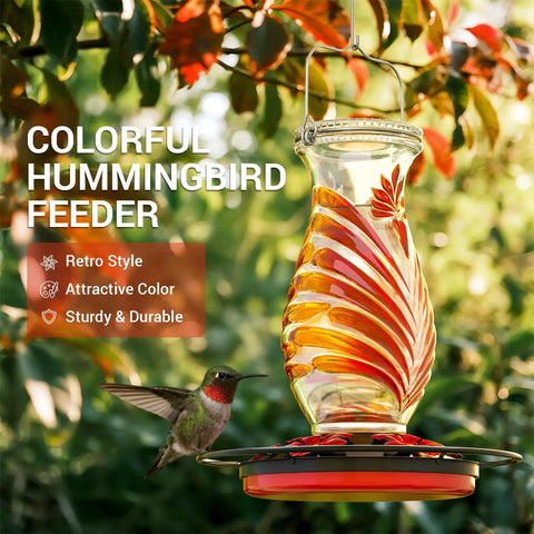 Glass Hummingbird Feeder With 24 Oz Nectar Capacity Five Flower Ports Perch And Leakproof Hanging Design For Outdoors