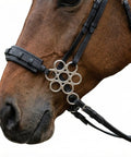 Pro Grade Leather Flower Shank Padded Noseband Hackamore for Western Training on horse, stainless steel hardware visible