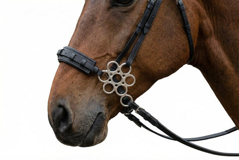 Pro Grade Leather Flower Shank Padded Noseband Hackamore for Western Training on horse, stainless steel hardware visible