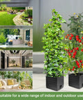 Two Pack Tomato Planter With Trellis 57 Inch Self Watering Raised Garden Bed for Climbing Veggies and Tomatoes indoor use