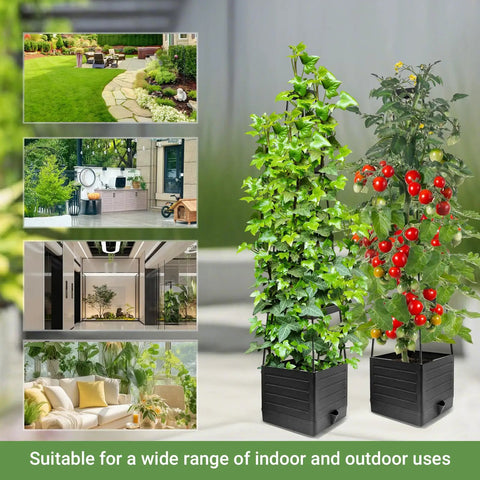 Two Pack Tomato Planter With Trellis 57 Inch Self Watering Raised Garden Bed for Climbing Veggies and Tomatoes indoor use