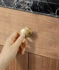 Hand holding Champagne Bronze Zinc Alloy Cabinet Knobs With Plate Six Pack Single Hole Kitchen Cabinet Pulls Drawer Hardware