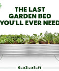 Galvanized Raised Garden Bed 6 Feet By 3 Feet By 1 Foot Outdoor Planter For Vegetables, Flowers, And Herbs shown with plants
