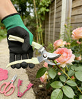 Hand wearing glove using rose thorn stripper tool kit for garden pruning shears and scissors with plastic and metal thorn removers