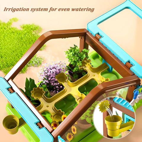 Top view of Kids Plant Growing Kit with Greenhouse and Grow Light Drip Irrigation System showcasing plant setup inside the greenhouse.