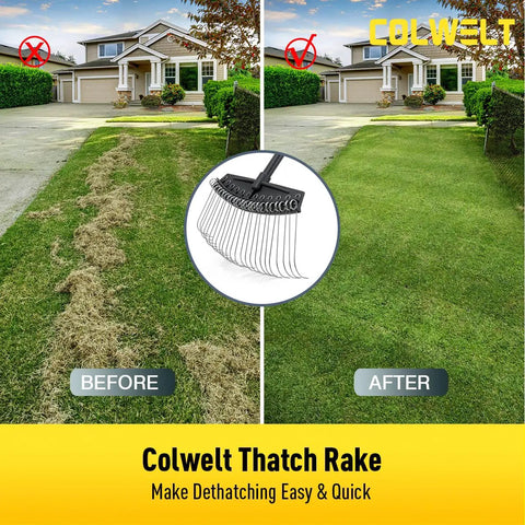 Before and after lawn image with 61-Inch Dethatcher Rake For Lawns With Thin Curved Spring Steel Tines; visible tool illustration