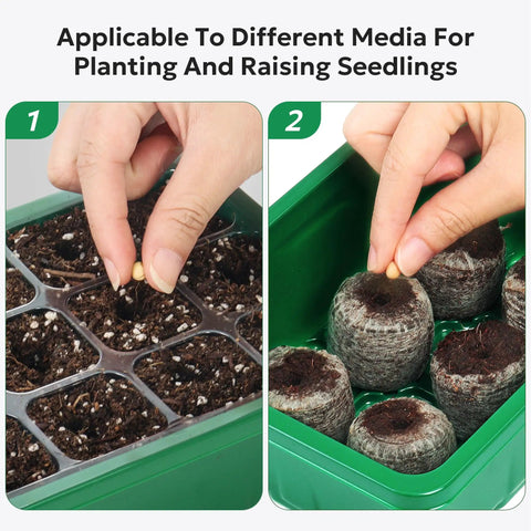 Hands placing seeds in 3-Pack Seed Starter Trays With Adjustable Humidity Dome And Base Indoor Greenhouse Propagator 12 Cells Per Tray