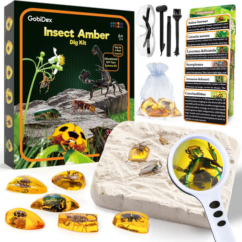 Amber Dig Kit With Real Insects Encased In Resin and tools shown with packaging and excavated specimens for kids ages 6 8 12.