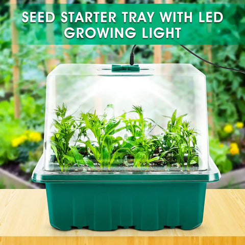 Seed Starter Tray With Grow Light Kit Six Pack Of 12 Cell Trays With Humidity Domes Adjustable Humidity From 50 To 100 Percent Indoor Gardening Germination System For Easy Seed Starting Ideal For Beginners And DIY Growers