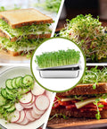 Collage of meals with sprouts and No Fuss Seed Sprouting Kit With Lid For Home Grow, 10.4 Inch Stainless Steel Soilless Germination Tray.