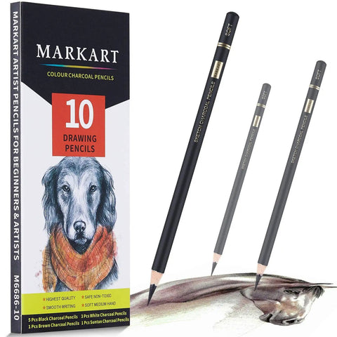 Charcoal Pencils For Drawing Set 10 Pack Includes Black White Brown Suntan Assorted Pencils For Sketching Shading And Blending Non Toxic Artist Pencils For Beginners And Pros box and pencils