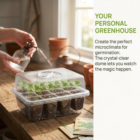 Five Pack Seed Starter Tray Kit With Humidity Dome 60 Cells Total Seed Starting Trays placed on a wooden table indoors.