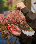 Gardener using 420 Trimming Scissors 6.1 Inch Garden Clippers With Fine Tip And Nonstick Blade for precise pruning of plant branches