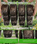 Transparent plastic tray holding six seedling pods for Seed Starter Tray Kit With Grow Light For Indoor Gardening Six Piece Germination Trays.