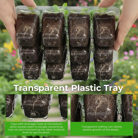 Transparent plastic tray holding six seedling pods for Seed Starter Tray Kit With Grow Light For Indoor Gardening Six Piece Germination Trays.