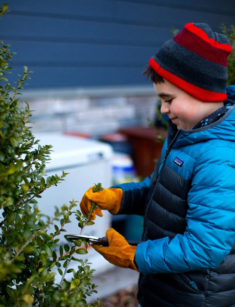 Child wearing durable synthetic leather kids garden gloves for 7 to 9 year olds, pruning a bush in winter clothing outdoors.