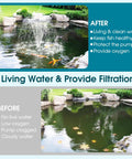 Comparison of a pond before and after using Pond Filter With Built In UV Clarifier And Water Pump Kit for Clear Water All Season.