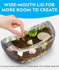 Light Up Dino Terrarium Kit For Kids Lets Them Grow Real Plants And Gemstones To Build A Prehistoric Habitat With Backdrop