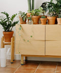 Wooden cabinet with Heavy Duty 8 Pack 3/8-16 Threaded Furniture Levelers With Adjustable Feet, surrounded by potted plants.