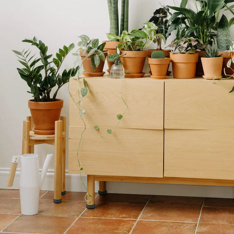 Wooden cabinet with Heavy Duty 8 Pack 3/8-16 Threaded Furniture Levelers With Adjustable Feet, surrounded by potted plants.