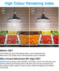Comparative color rendering with 80+ and 95+ CRI in tomatoes under Vintage Edison Style LED Filament Bulbs 60W Equivalent 4000K Daylight