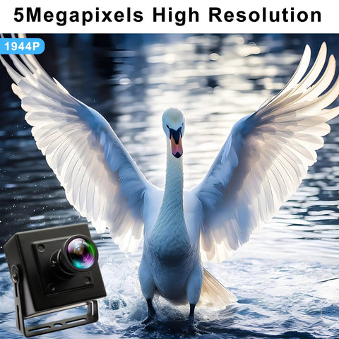 5Megapixels high resolution swan with 50FPS Global Shutter USB Camera With Wide Angle Distortion Free Color Lens USB 2.0