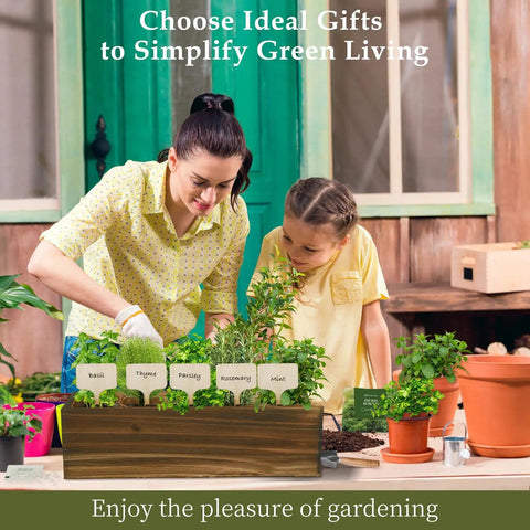 indoor herb garden seed starter kit Indoor Herb Garden Starter Kit with Tools & Seeds ✓