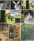 Heavy Duty Black Hardware Cloth Roll PVC Vinyl Coated Galvanized Steel Wire Mesh protecting various animals and plants.