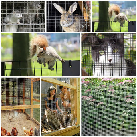 Heavy Duty Black Hardware Cloth Roll PVC Vinyl Coated Galvanized Steel Wire Mesh protecting various animals and plants.