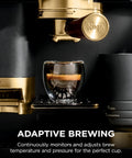 Top Shelf All In One Espresso Machine Featuring Built In Grinder And Hands Free Frother For Crisp Cold Brew And Fresh Drip Coffee Big Time Black Gold Edition brewing espresso in clear glass with gold accents.