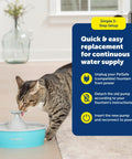 Cat drinking from PetSafe fountain, highlighting Drinkwell Replacement Pump, Quiet OEM Upgrade With Power Adapter guide.