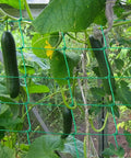 Heavy-Duty Garden Trellis Netting For Climbing Plants UV Stabilized Polyethylene Mesh That Is Beefy Enough For Cucumber Tomatoes Melons Vines Fruits Vegetables 1 Pack 8.2 By 6.6 Ft supporting cucumbers