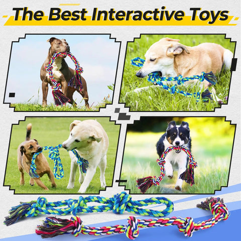 Rugged Dog Rope Toys 5 Pack For Aggressive Chewers with dogs playing tug-of-war outdoors.
