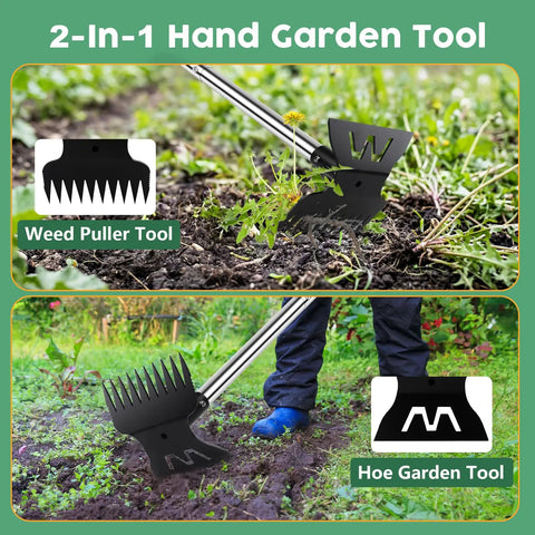 Heavy Duty 57 Inch 2 In 1 Weed Puller With Long Detachable Handle, 10 Tooth Weed Rake And Garden Hoe for weeding in action.