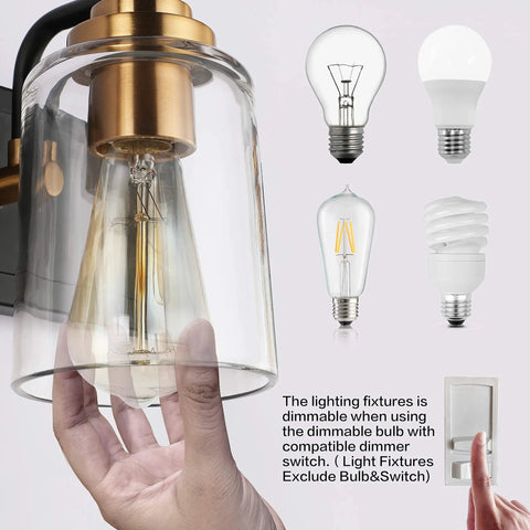 20.1 Inch Black Vintage Bathroom Vanity Light With Modern Glass Globe Shade Brass Wall Lamp bulb options shown close-up