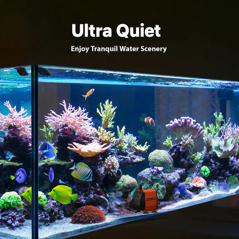 Aquarium with coral and fish powered by 800GPH Submersible Water Pump For Ponds And Fountains Ultra Quiet 60W Pump